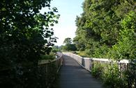 Exe Estuary Trail wooden bridges (c) mathilde le floch