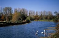 Exeter Canal