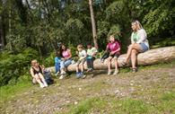 Plenty of picnic spots in the woods