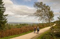 Strolling through Haldon Forest Park and enjoying the stunning views