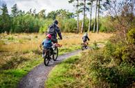 A family cycle ride through Haldon Forest Park