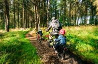 Hire bicycles for the whole family at Haldon Forest Park