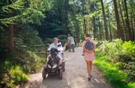 Haldon Forest Park is accessible for all