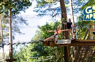 Go Ape Haldon