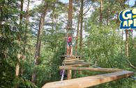 Go Ape Haldon