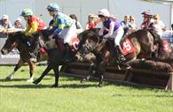 Horse Racing at Devon County Show