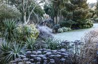 Jack Frost does his magic at RHS Rosemoor