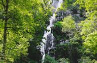 Waterfall at Canonteign Falls
