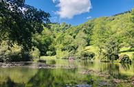 Canonteign Falls Lily Lake