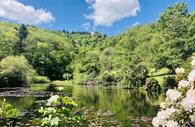 Canonteign Falls Lily Lake