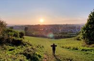 Ludwell Valley Park