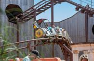 Maximus at Crealy Theme Park