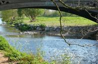 Bridge over the River Otter, Ottery St Mary