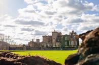 Wander through Powderham's picturesque grounds and gardens