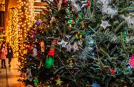 Charity Christmas trees