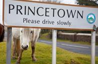 Princetown