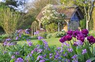RHS Rosemoor's Cottage Garden is a joy in the Spring