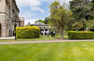 Beautiful rear lawns