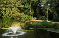 Reed Pond