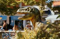 Exmouth Dinosaur Trail