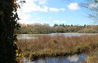 Stover Country Park