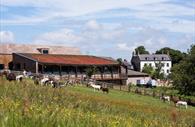 Exterior of The Kitchen at The Donkey Sanctuary