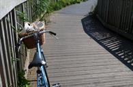 Exe Estuary Trail, vintage bike (c) mathilde le floch