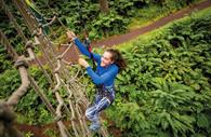 Go Ape Haldon