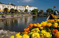 Dawlish Brook with Flowers