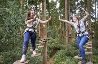 Go Ape!