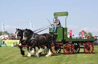 Horses (c) Devon County Show Credit: Geoff & Tordis Pagotto