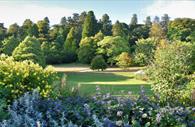 Flowers and trees in Killerton Gardens