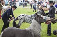 Devon County Show Credit: Geoff & Tordis Pagotto