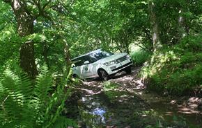 Range rover in the woods