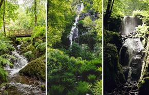 Canonteign Falls