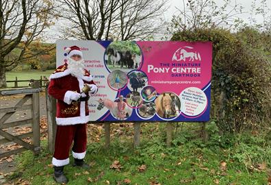 Guest Blog: Get that Festive Feeling at the Miniature Pony Centre