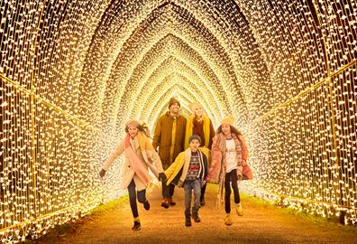 Enchanting Christmas Experiences in Exeter