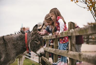 Family Friendly Attractions in Exeter