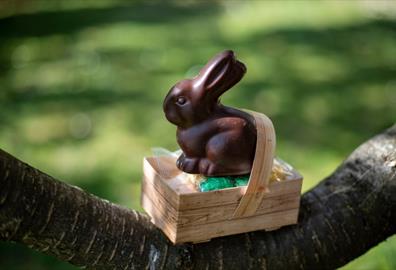Exetercation: Cracking Easter Activities and Crafts