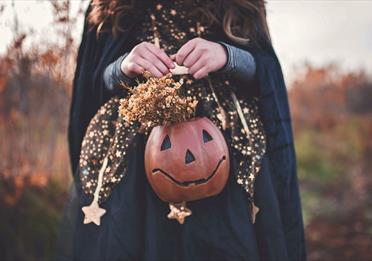 Young girl in witch costume holding a pumpkin container with flowers