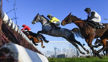 Exeter Raceway Exeter Racecourse - Sports Ground/Stadium in Exeter, Exeter - Visit Exeter