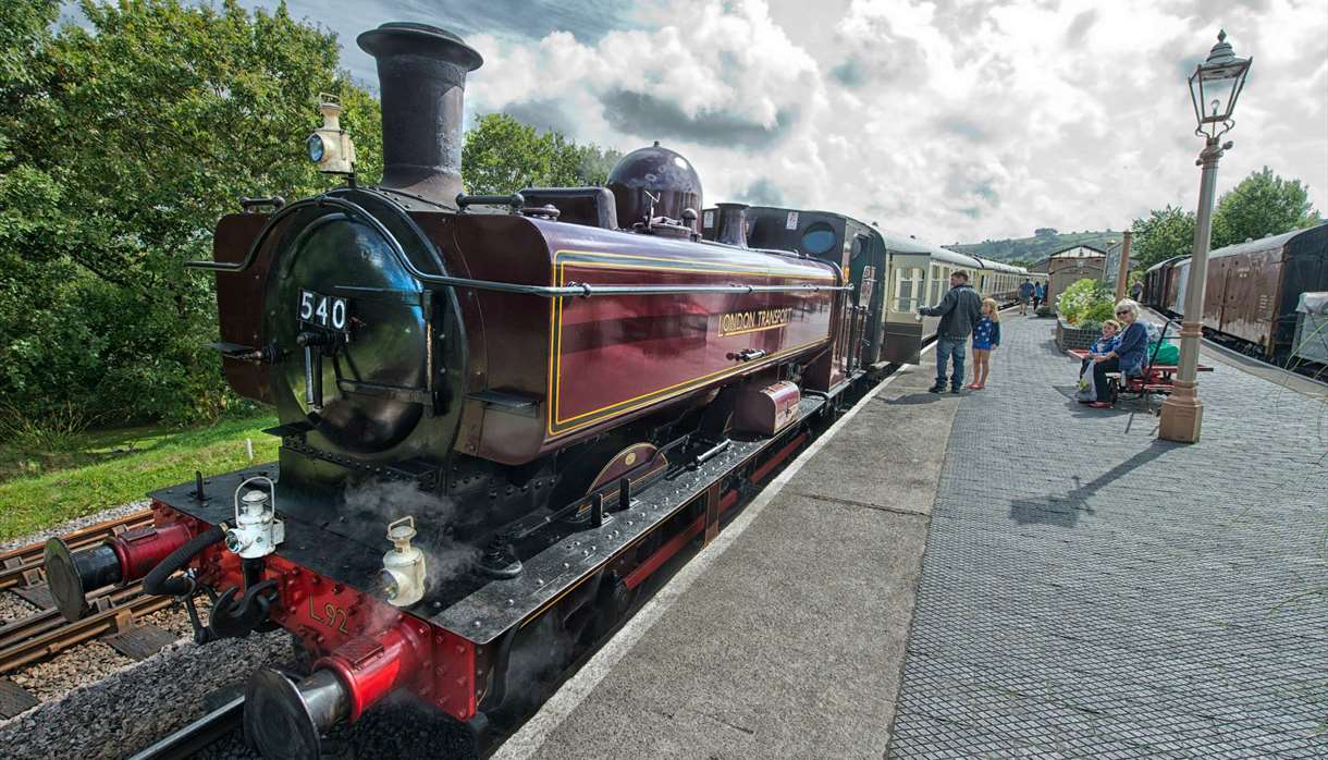 South Devon Railway train