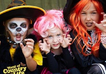 Halloween Happenings at World of Country Life