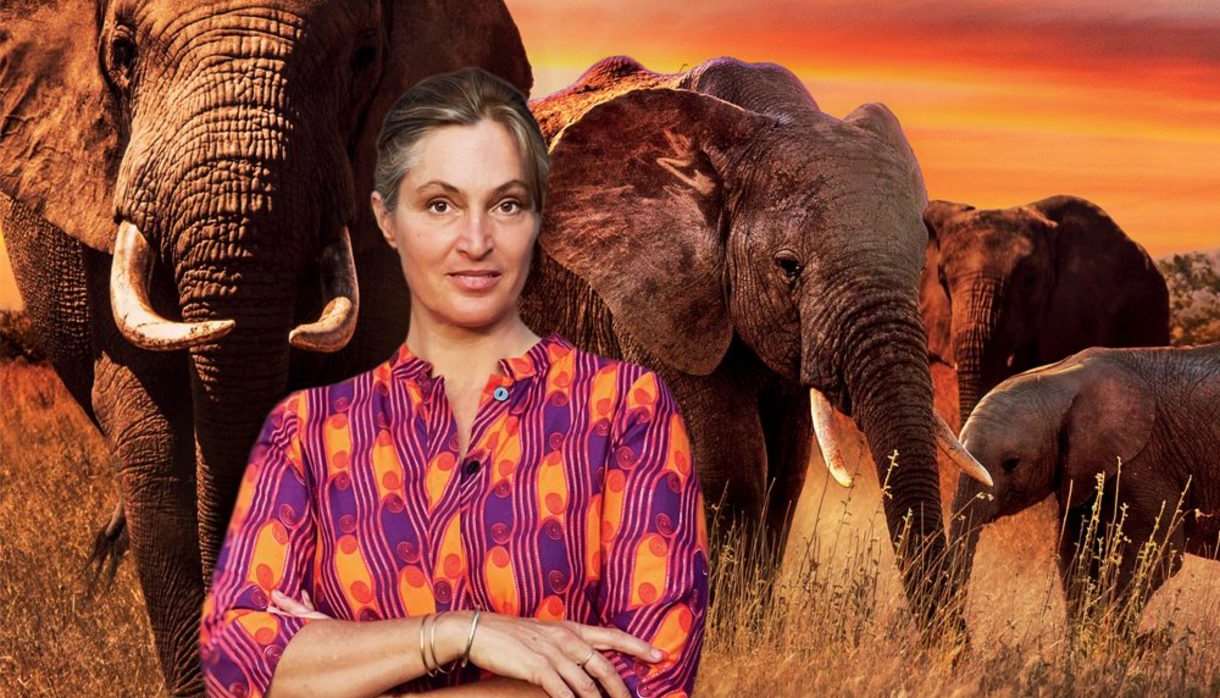 Saba Douglas Hamilton 'In the Footsteps of Elephants'