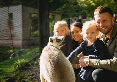 Family in Lemur Wood