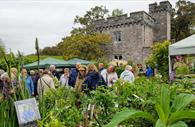 Toby Buckland’s Garden Festival with Powderham Castle in the background