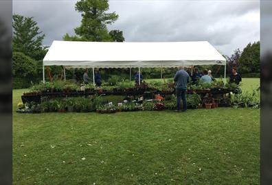 Plant Sale - Exeter Friends of Hospiscare
