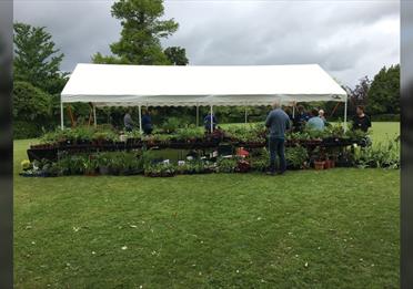 Plant Sale - Exeter Friends of Hospiscare