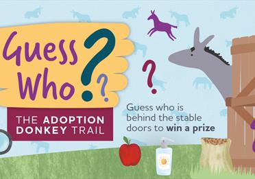 Guess Who Adoption Donkey Trail – Summer Trail