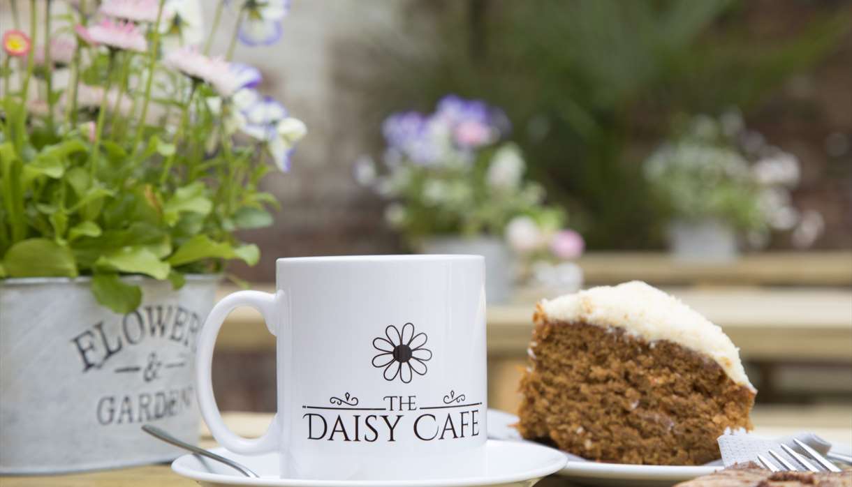 The Daisy Café mug and cake